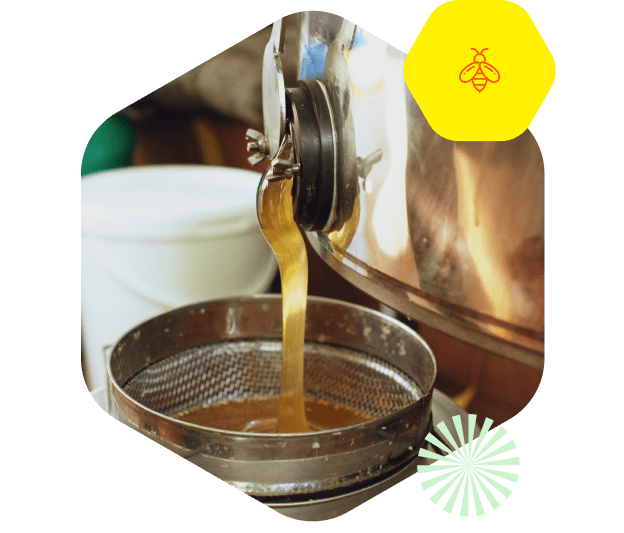 Modernização de processos